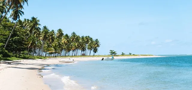 Tropical beach on a sunny day